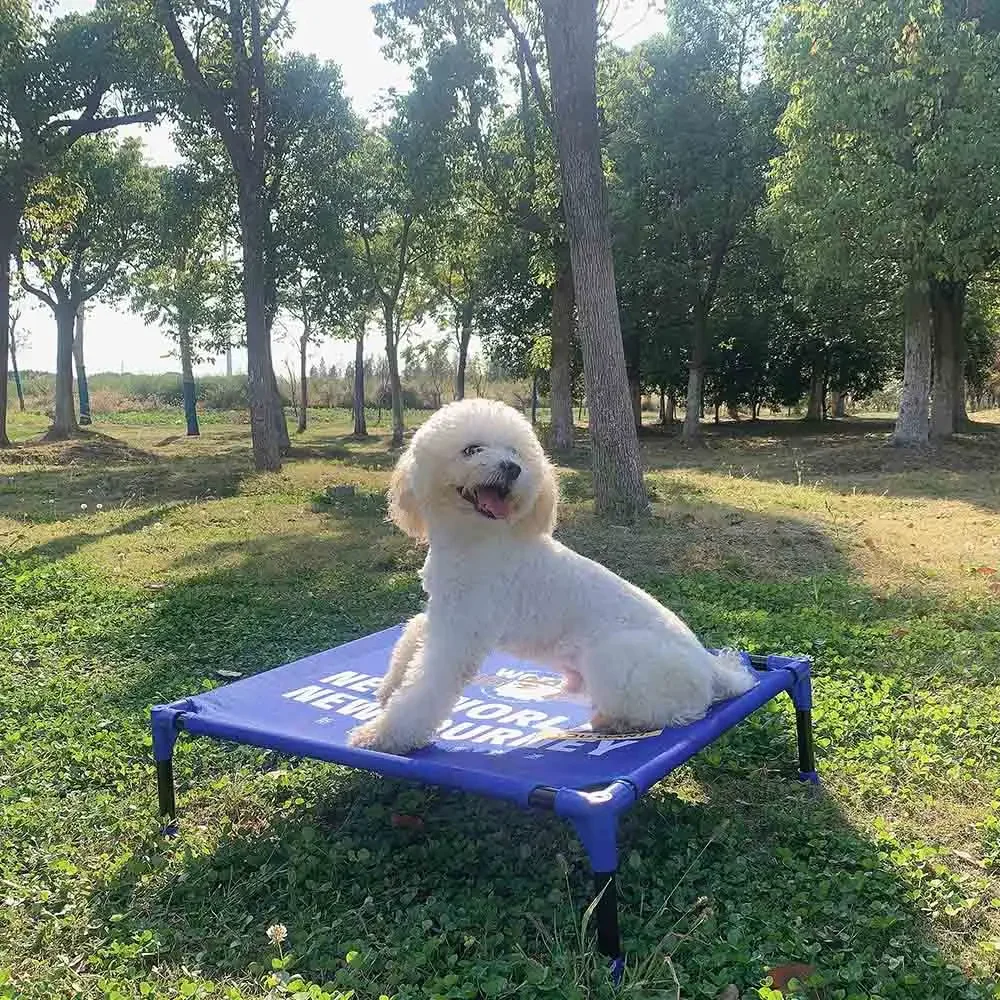 Outdoor Camping Dog Bed - Lit de chien surélevé portable FULED