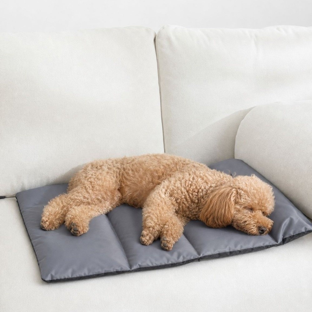 Tapis de couchage pliable pour - Outdoor Camping Dog Bed avis et prix