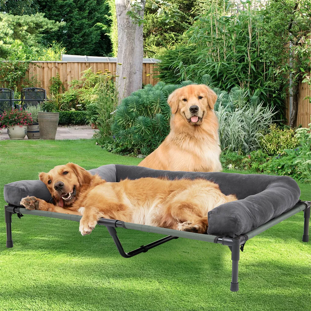 BINGOPAW Lit de chien d'extéri - Outdoor Camping Cot avis et prix