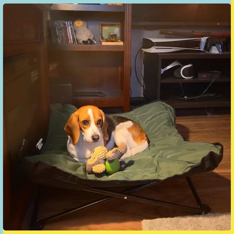 Lit pliable portable pour anim - Outdoor Camping Dog Bed avis et prix