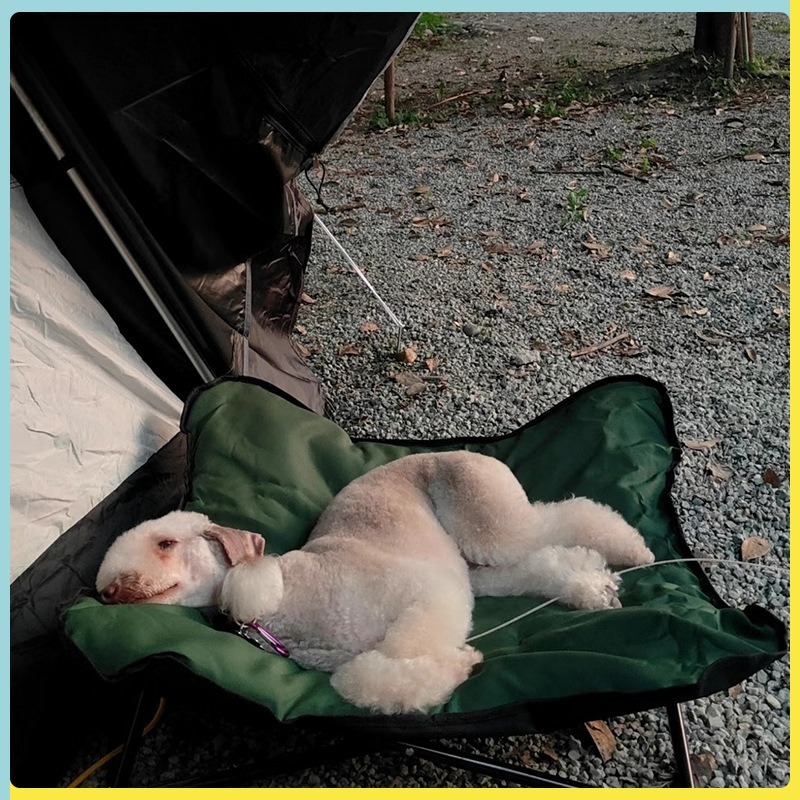 Lit pliable portable pour anim - Outdoor Camping Dog Bed avis et prix