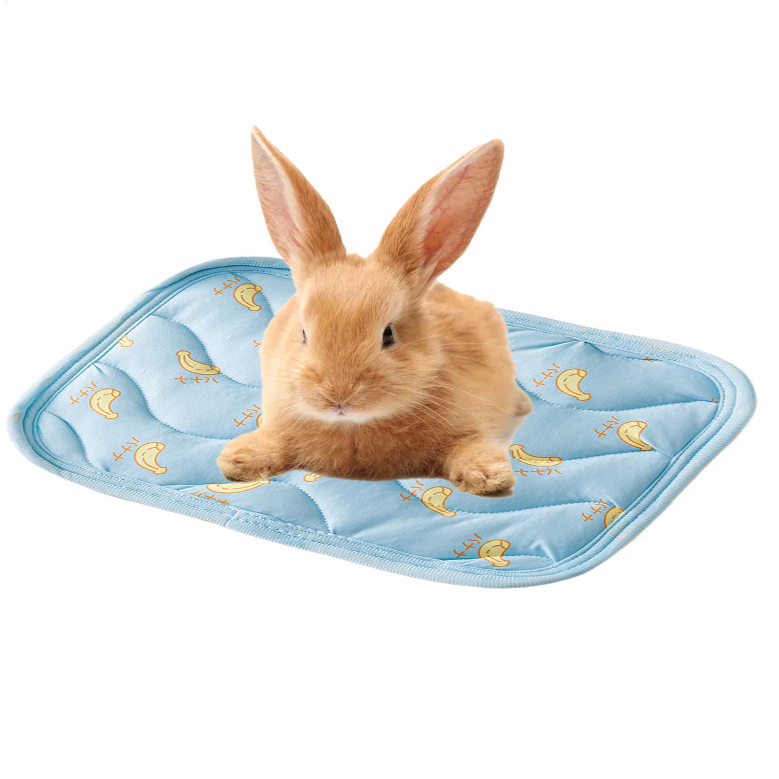 Tapis rafraîchissant portable  - Outdoor Camping Dog Bed avis et prix