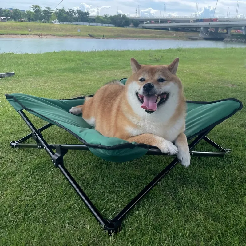 Lit de Voyage Luxueux et Moder - Outdoor Camping Dog Bed avis et prix